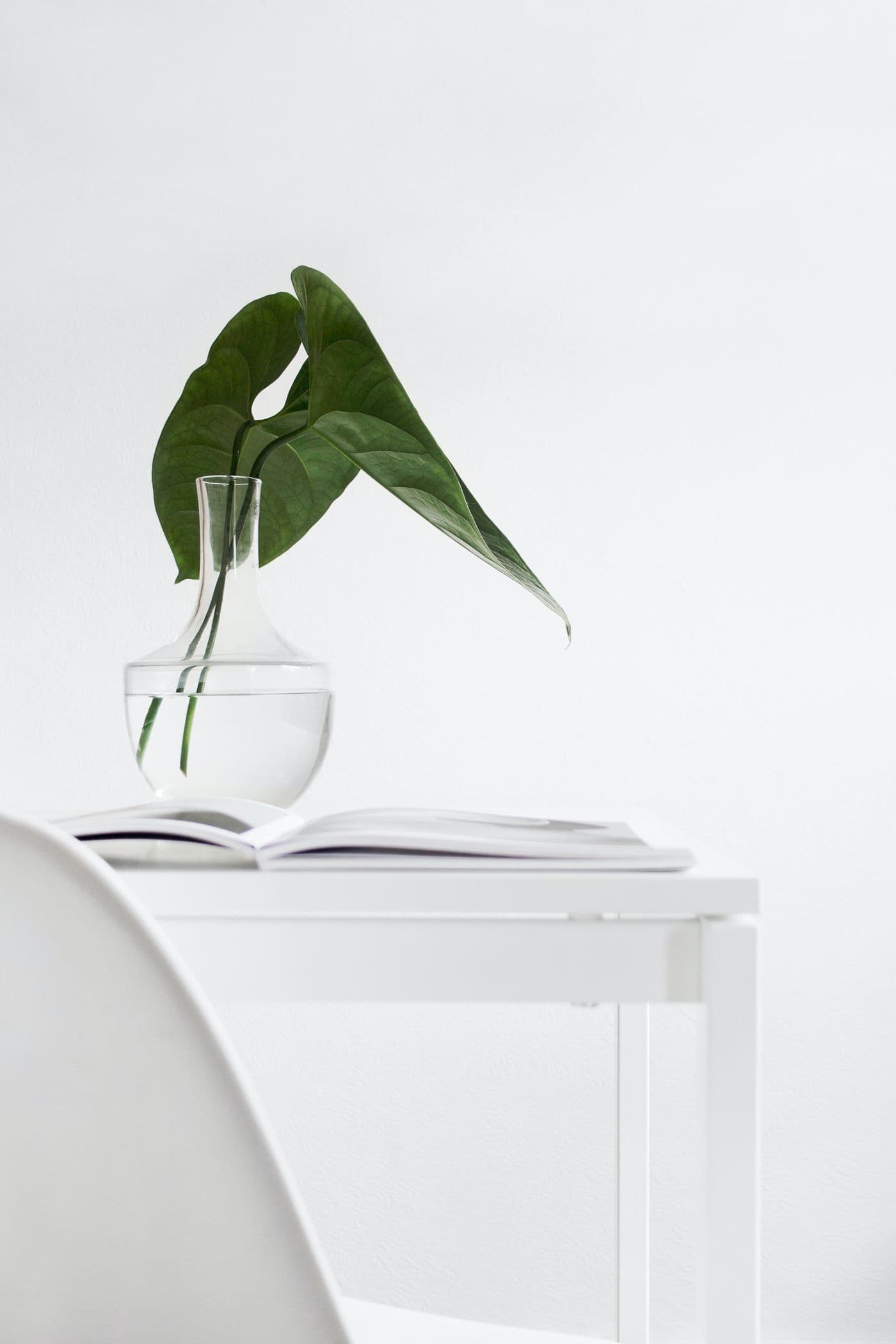 A green stem in a clear glass vase beside an open book