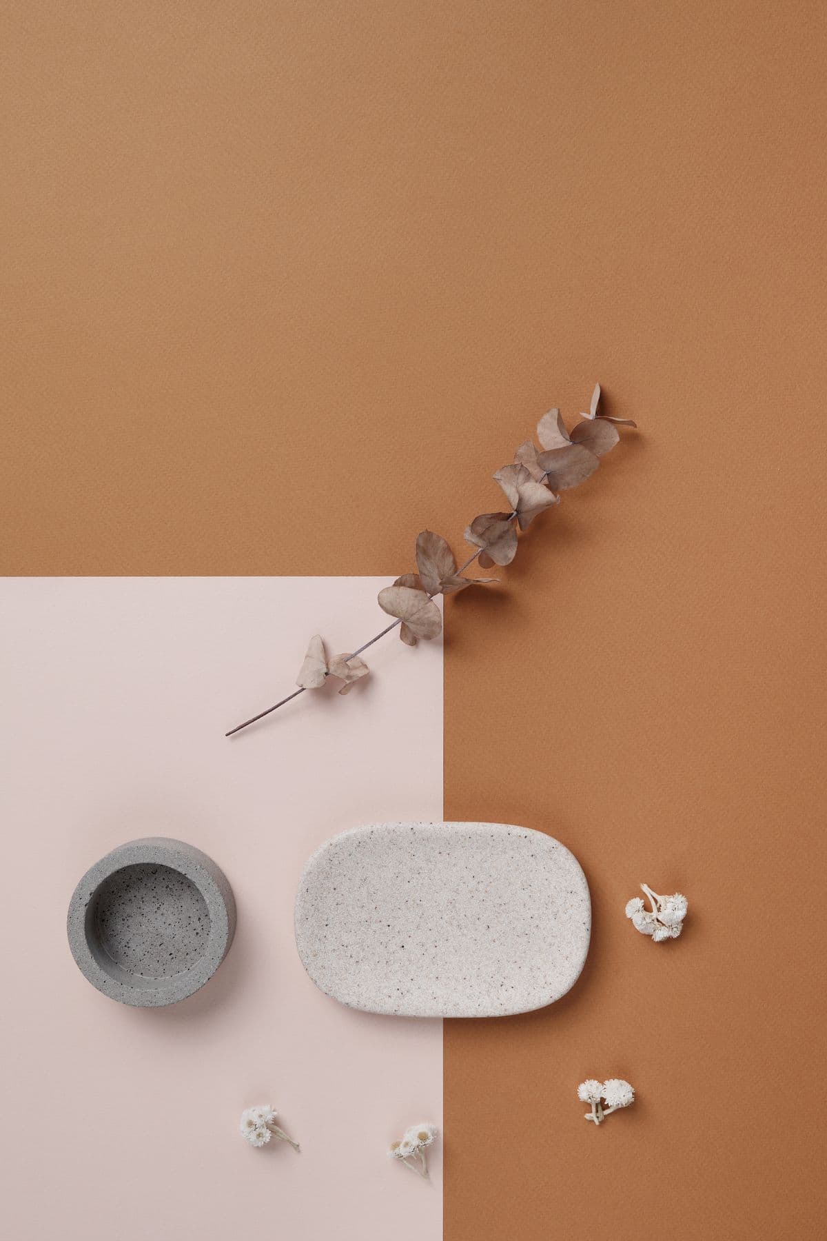 Dried botanical stems arranged on a warm two-tone ground